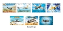 JE Ventures USA aviations accessories