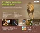 resort advertisement
