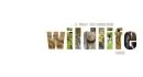 brochure title for a eco-tourism resort